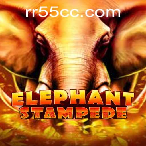 ElephantStampede: An Exciting Adventure with RR55 PH Login